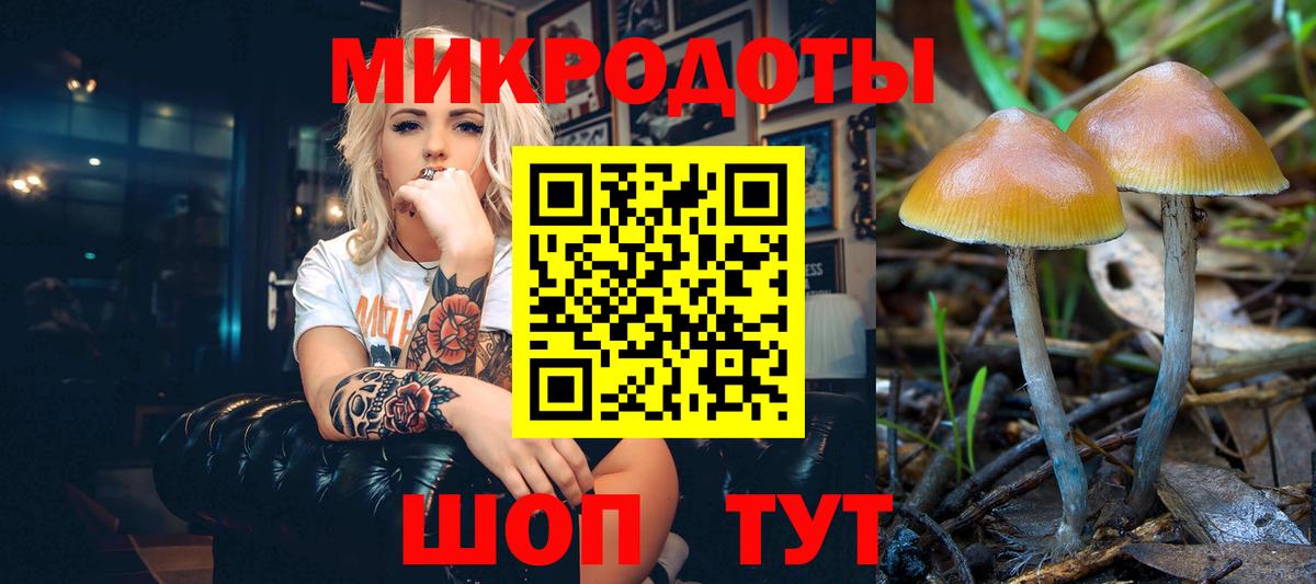 Псилоцибиновые грибы Psilocybine cubensis Югорск